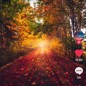 Meet your Posher, Tessa